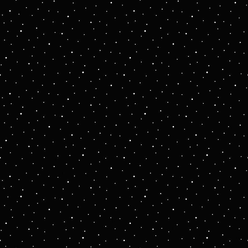 34 Inches - Dapple Dot in Black by Riley Blake C640-BLACK #2