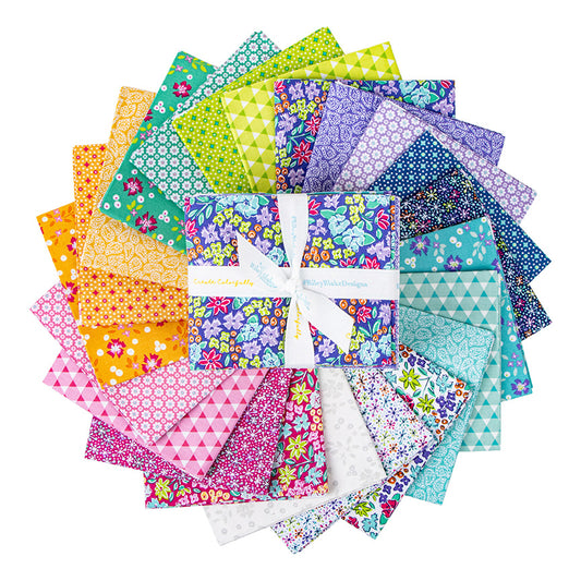Vibrance Fat Quarter Bundle by Leslie Ryan for Riley Blake 22 FQs FQ-15950-22 #340