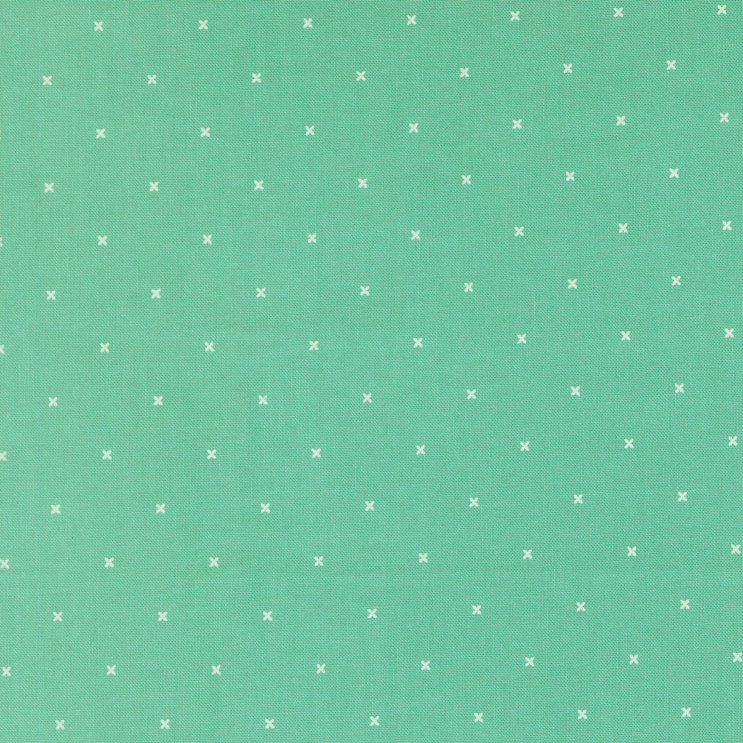 By the Half Yard - Tiny Peel in Teal from Joysome by Corey Yoder for Moda 29257 24 #409