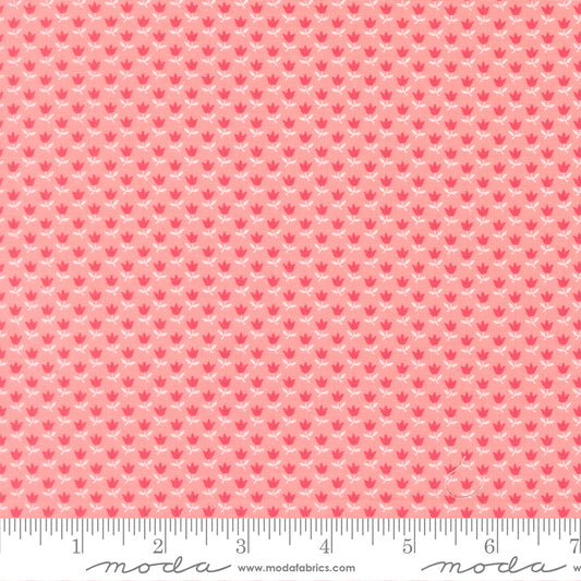By the Half Yard - June in Blush Pink 55347-17 - A Cat Named Stitch by Camille Roskelley for Moda