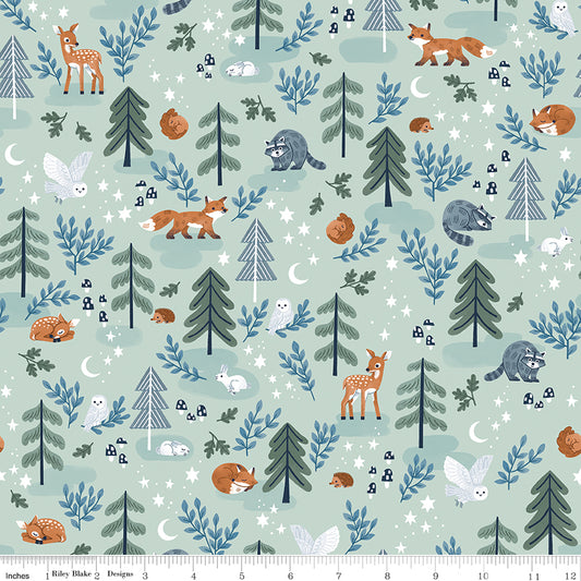 1-7/8 Yards Main in Mint from Twilight Creatures for Riley Blake #370